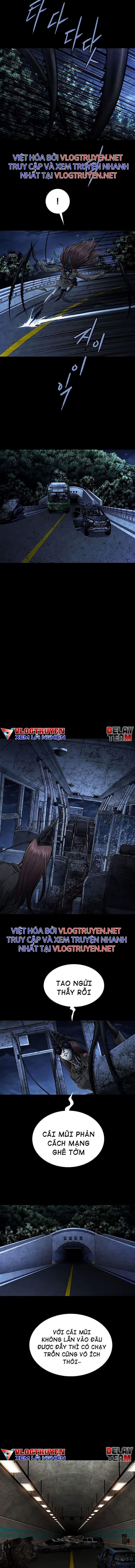 Đọc truyện Hive - Thảm họa ong độc - Chap 282